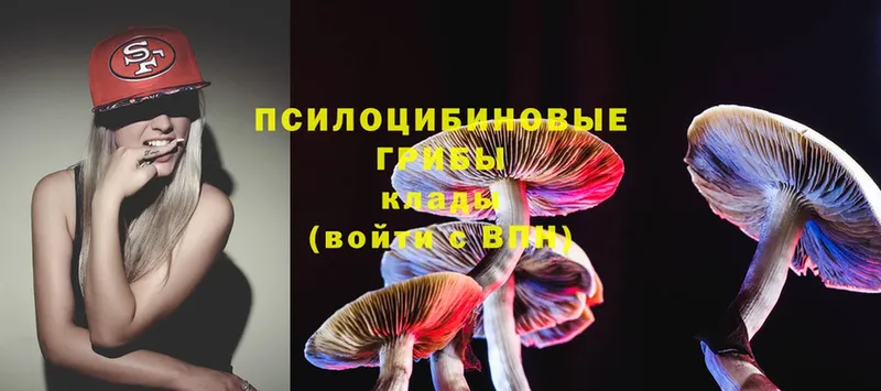 Псилоцибиновые грибы Psilocybine cubensis  купить наркоту  Агидель 